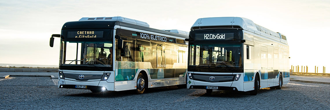 Toyota-Caetano bussen naar Nederland